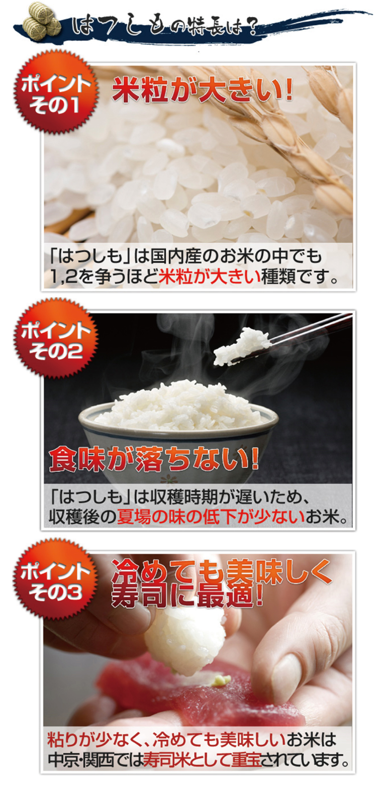 ハツシモ 精米 (玄米10kgから) - 米・雑穀・粉類